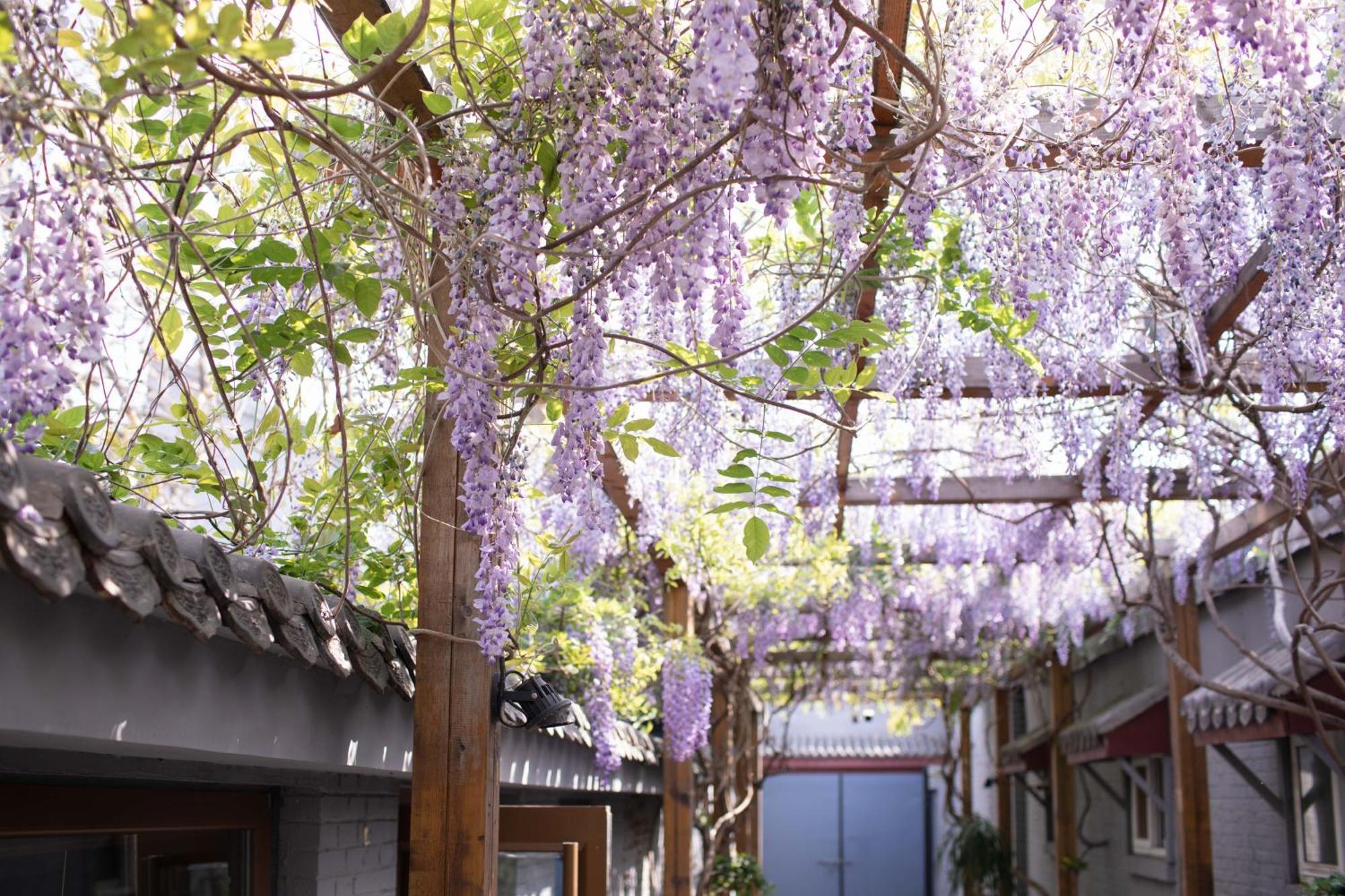 Guipu Beihai Courtyard Hotel Beijing Bagian luar foto
